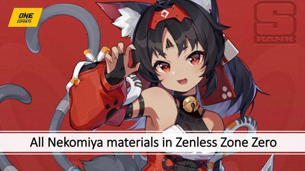 Nekomiya Mata or Nekomata in Zenless Zone Zero