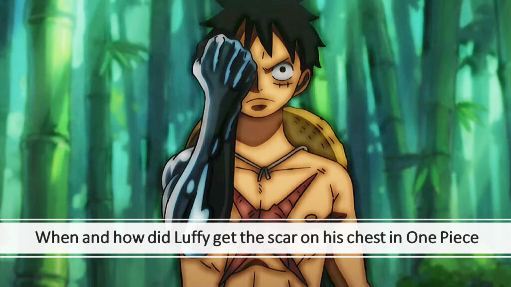 Image for article on how and when Luffy got the scar on his chest in One Piece